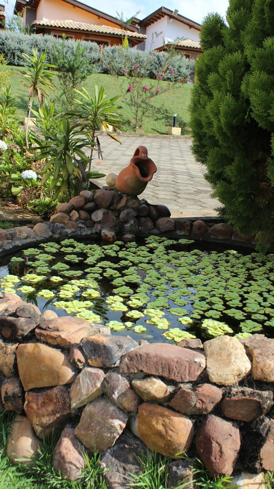 Lago ornamental com plantas aquáticas e chalés ao fundo na Pousada Serra dos Sicalis